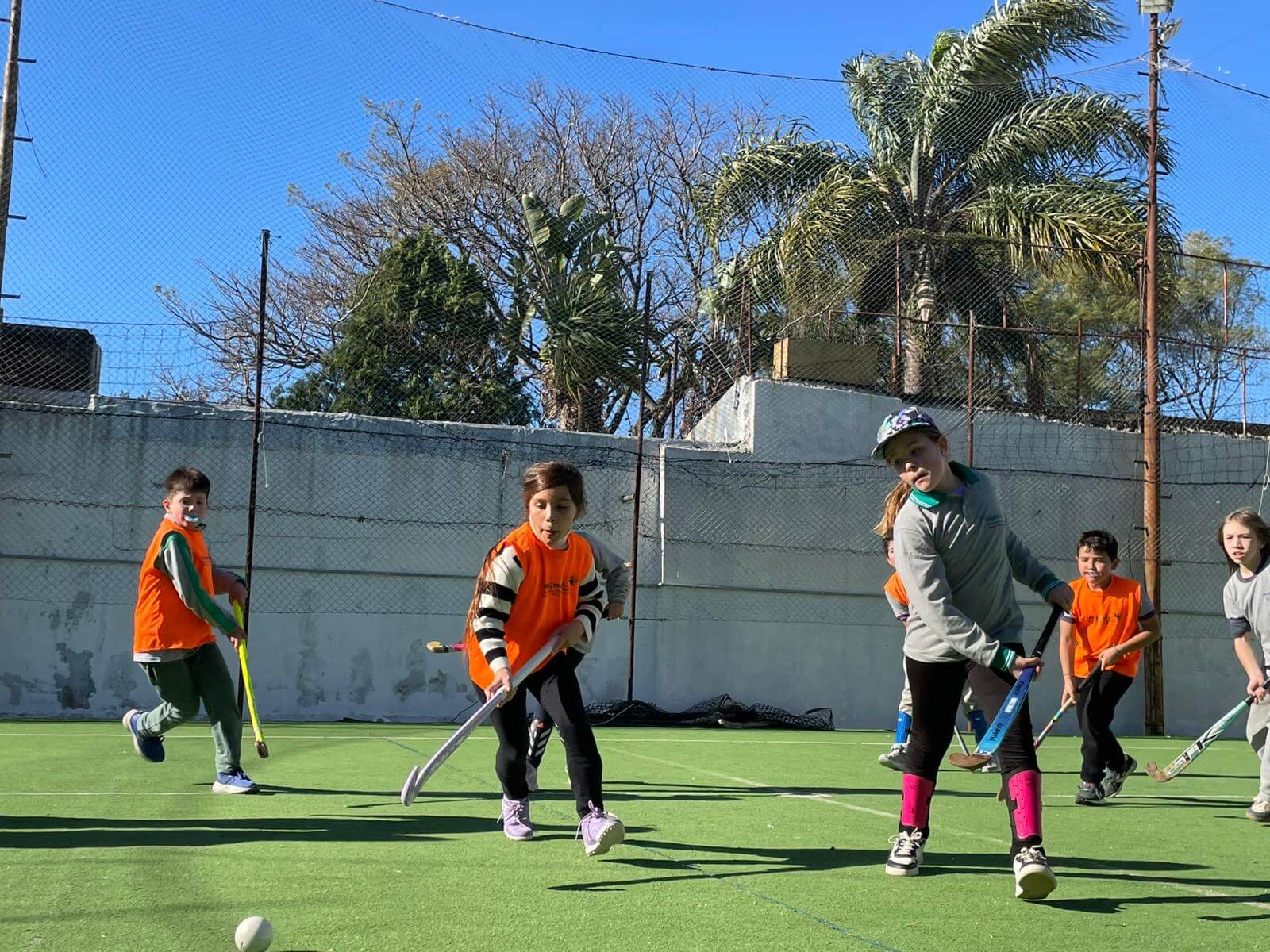 Actividades al aire libre en el patio del colegio